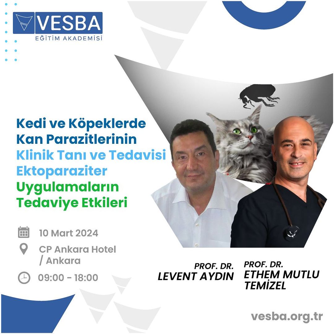 KEDİ VE KÖPEKLERDE KAN PARAZİTLERİNİN KLİNİK TANI VE TEDAVİSİ EKTOPARAZİTER UYGULAMALARIN TEDAVİYE ETKİLERİ