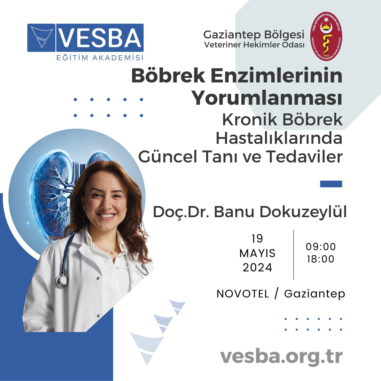 BÖBREK ENZİMLERİNİN YORUMLANMASI VE KRONİK BÖBREK HASTALIKLARINDA GÜNCEL TANI VE TEDAVİLER