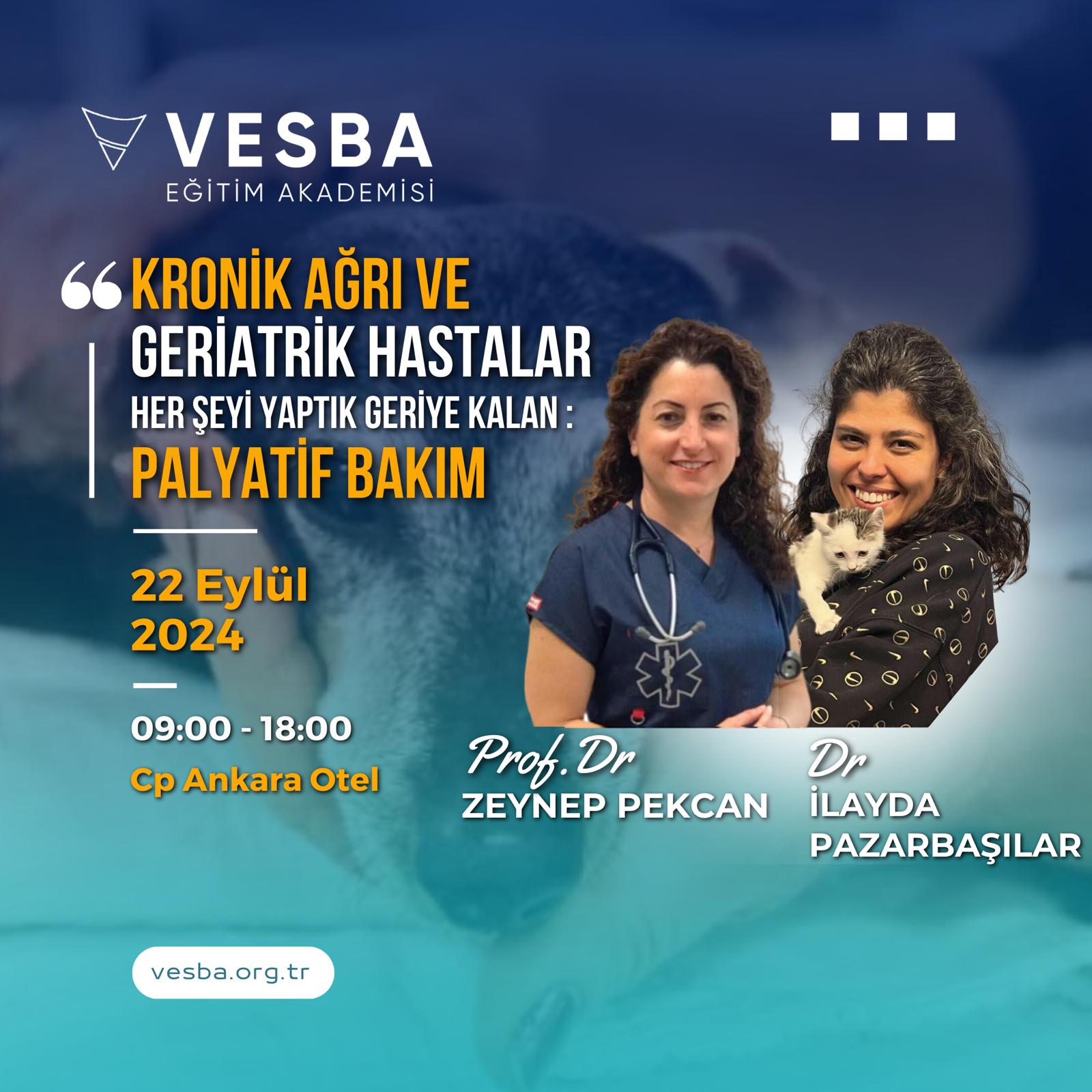 KRONİK AĞRI VE GERİATRİK HASTALAR HER ŞEYİ YAPTIK GERİYE KALAN: PALYATİF BAKIM