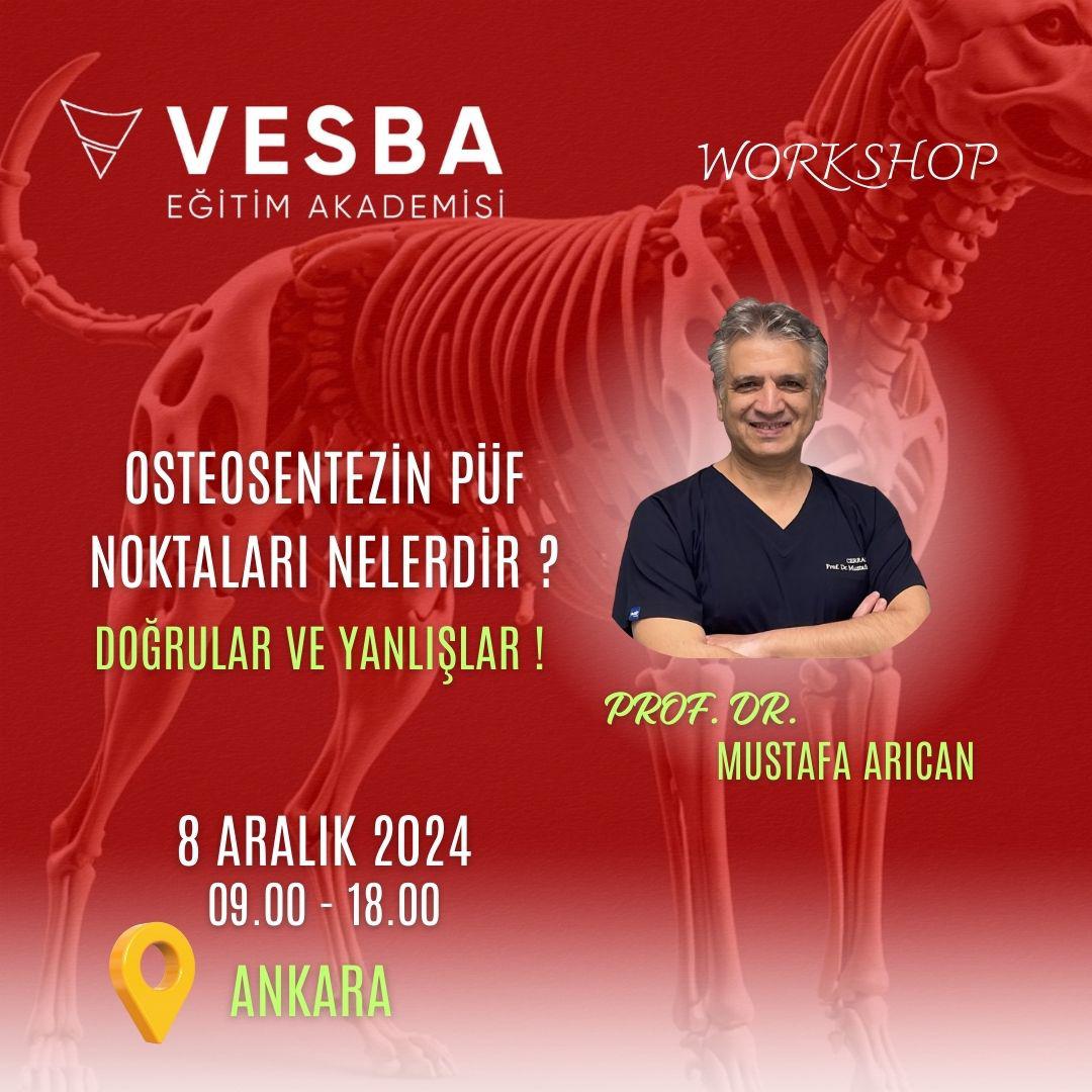 Osteosentezin Püf Noktaları Nelerdir? Doğrular ve Yanlışlar